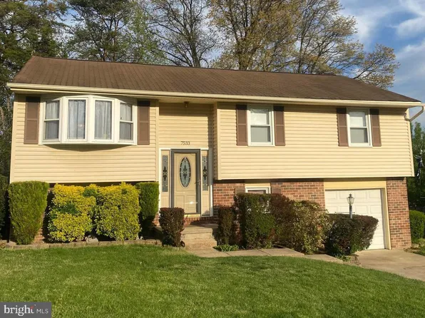 7533 Lemon Tree Ct, Hanover, MD 21076