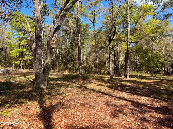 30589 County Road 67 NE, Hosford, FL 32334