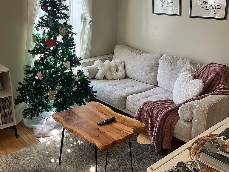 1 bed, 650 sqft, $1,250 — Photo 3