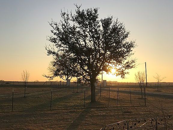 front pasture 