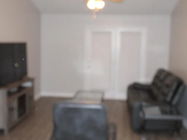 1802 Honeysuckle Way — Photo 57