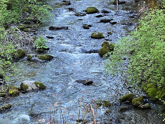 4th image of 1500&1551 Reading Creek Rd