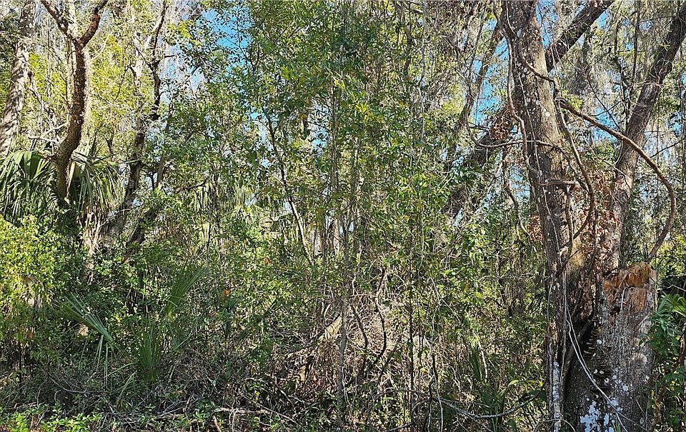 2nd image of 939 N Sonia Ave