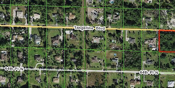 2nd image of Xxxx Tangerine Boulevard