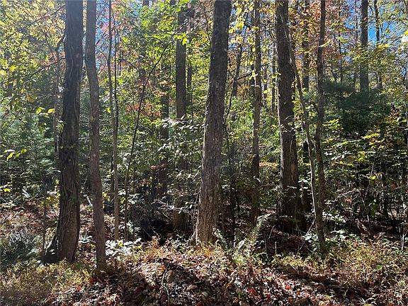 3rd image of 0 Little Mountain Rd #704