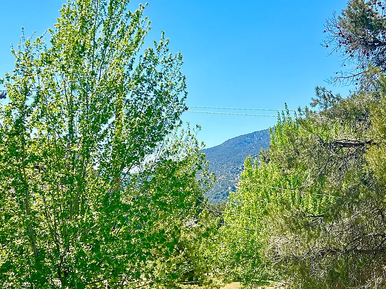 14700 Voltaire Dr — Photo 12