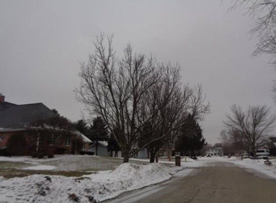 2nd image of 2244 Catherine St
