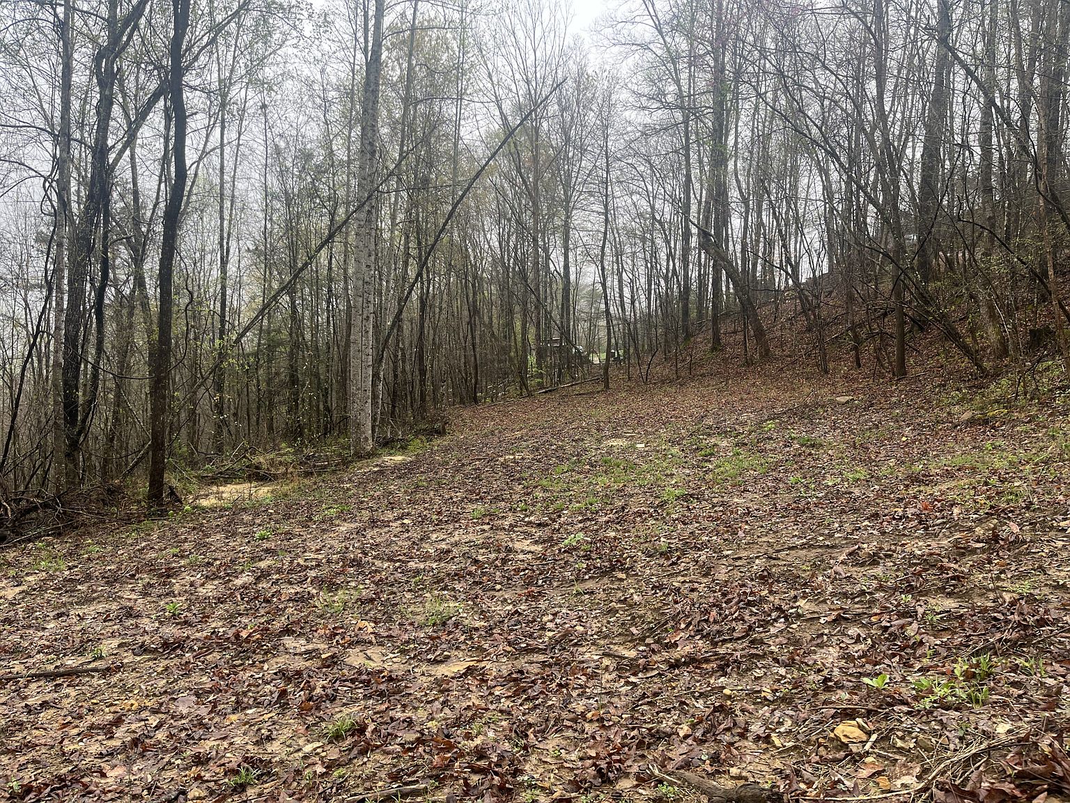 4813 Brammer Hill Ridge Rd, Monticello, KY 42633 | MLS #11462198 | Zillow