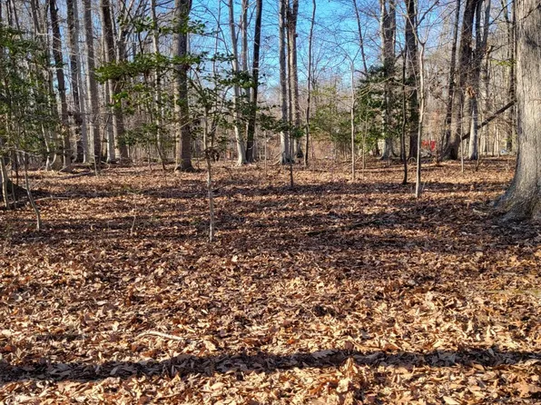 12401 Lusbys Ln, Brandywine, MD 20613