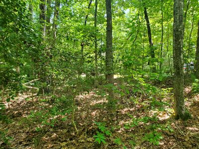 0 Boy Scout Rd Lot B, Blairsville, GA, 30512