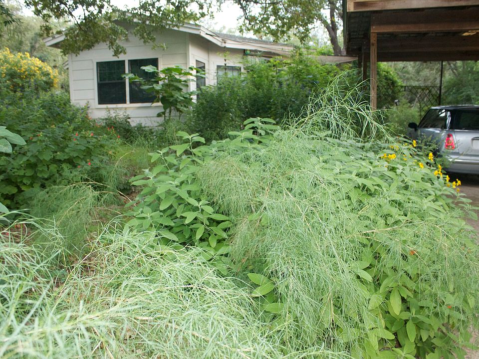 1st image of 1501 W Lakeland Dr