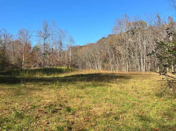 0 Lapsley Run Rd, Eagle Rock, VA 24085