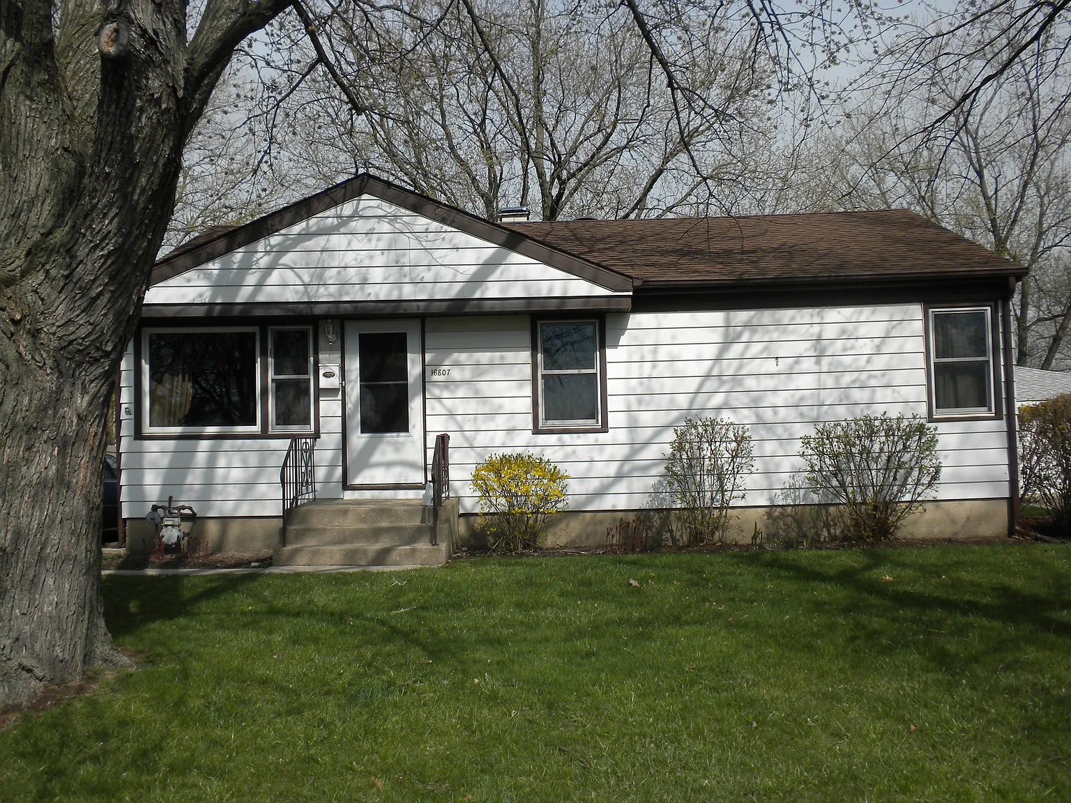 16807 Forest View Dr photo 1