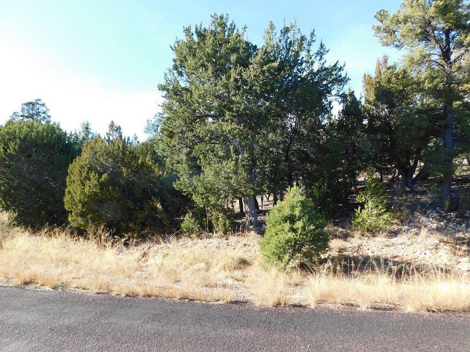 2nd image of 1541 Rocky Top Dr