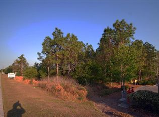 30150 Overpass Rd #155, Wesley Chapel, FL 33545