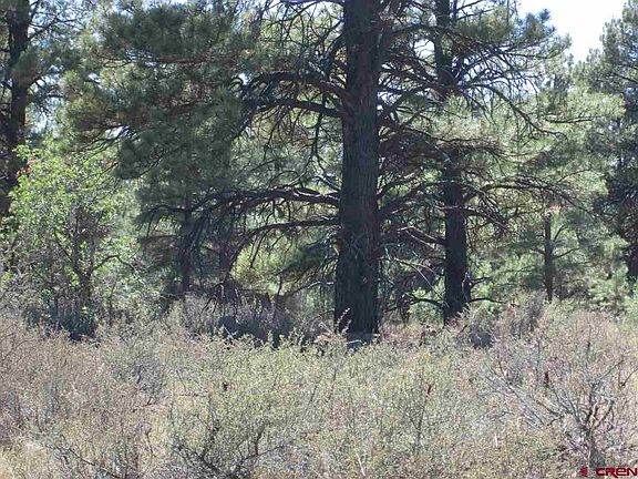 5th image of 12 Lynx Ct