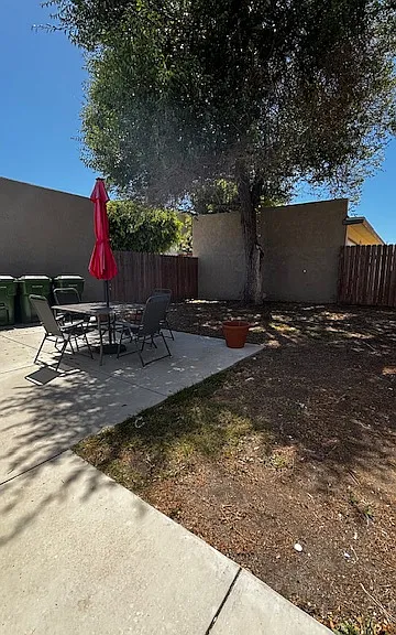 Back yard