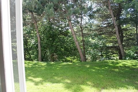 View Out of the Kitchen Sliding Door