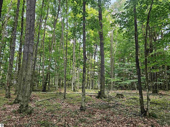 3rd image of 19172 Cedar Run Rd