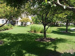 4th image of 30W021 Cedar Ct