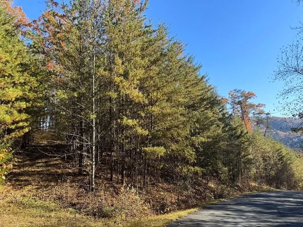 Bear Track Way, Del Rio, TN 37727