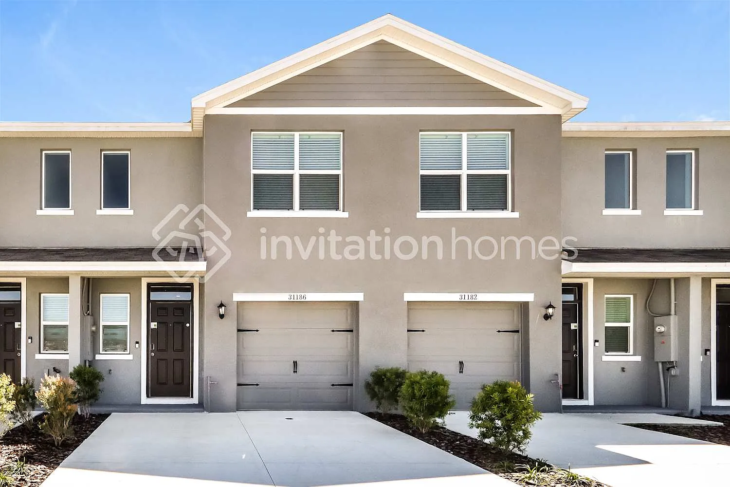 31186 Striped Maple Ln Wesley Chapel, FL 33545 — Photo 1