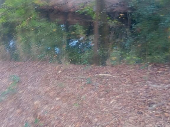 3rd image of 0 Hwy 53 LOT 6