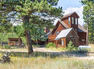 555 Forsythe Rd, Nederland, CO 80466
