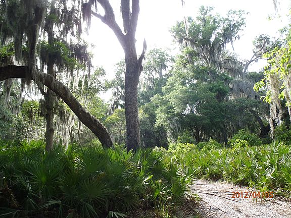 4th image of Gilchrist_island