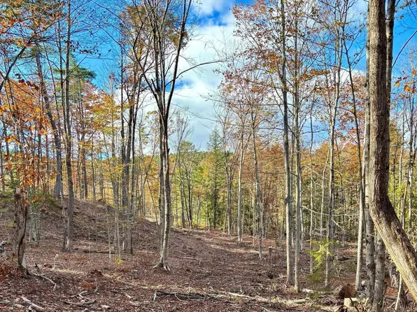 00 Fisher Road, Deering, NH 03244