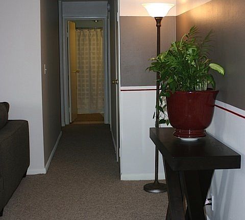 2nd image of 6 Monticello Dr APT 203