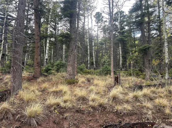 2954 LARRY Place LOT 2954, Fort Garland, CO 81133