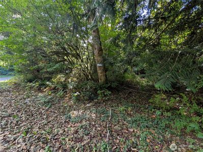 41664 N Shore Lane, Concrete, WA, 98237