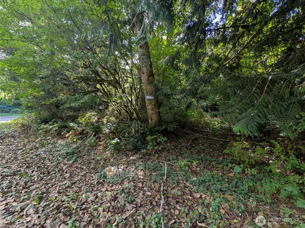 41664 N Shore Lane, Concrete, WA 98237