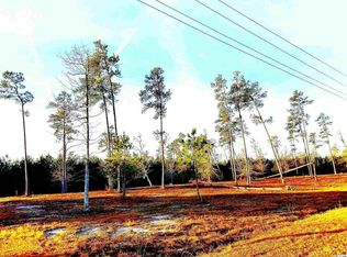 LOT 16 Pisgah Church Rd LOT 16, Galivants Ferry, SC 29544