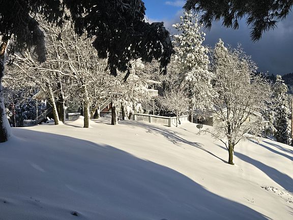 Winter snow view 1