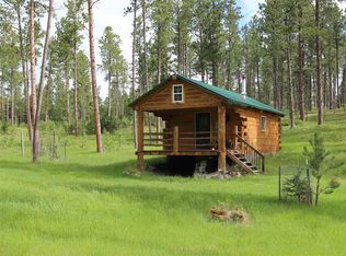 24999 Danby Park Trl, Custer, SD 57730