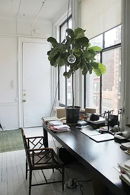 Rented by Wyllie Real Estate | media 1