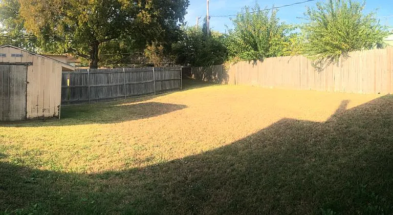 Backyard - Panoramic