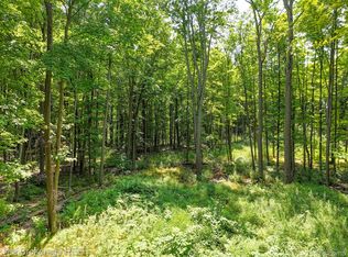 Stump Rd, Lapeer, MI 48446