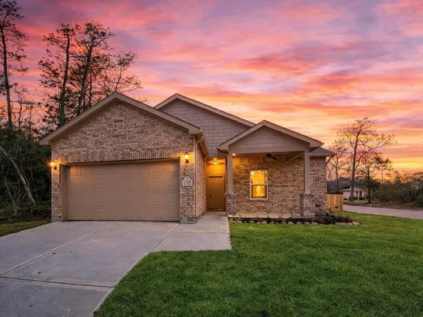 12153 Goliad Ln, Willis, TX 77378