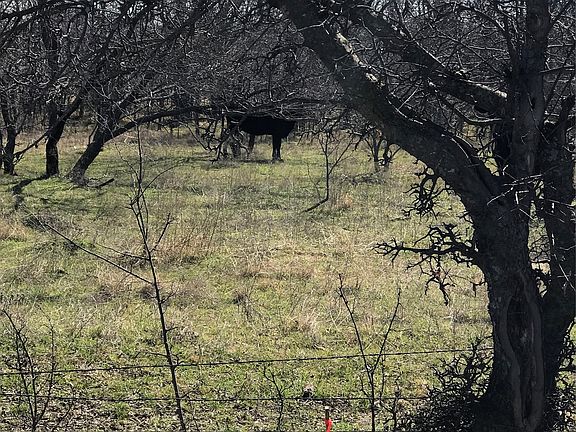 5th image of Winn Rd