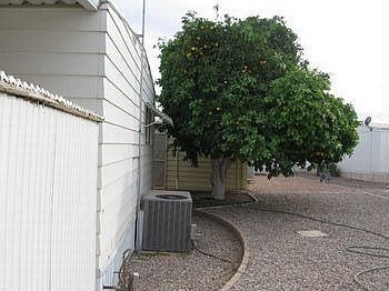 IMG_0018.jpg