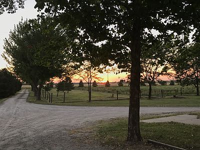 View from porch (West)