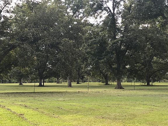 Back pasture