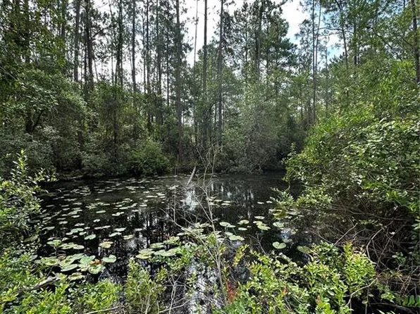 NE 234th Place Rd Lot 50-52, Fort Mc Coy, FL 32134