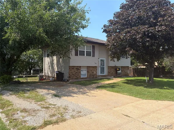 1006 N Saint Joe Dr, Park Hills, MO 63601