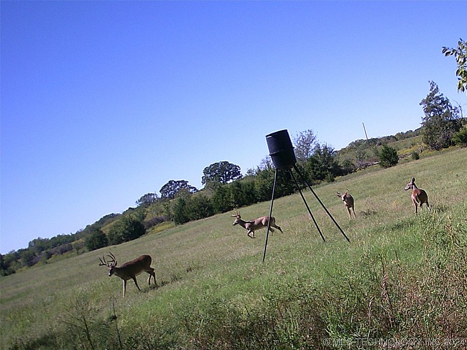 1st image of County Road 1360