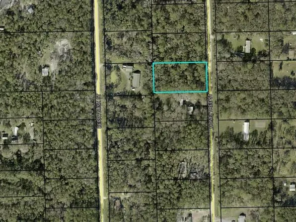 1230 Honeytree St Lot 23, Bunnell, FL 32110