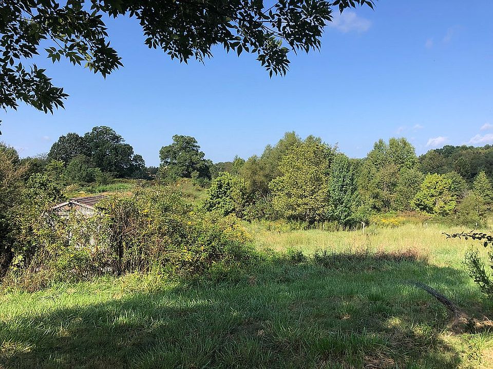 2nd image of 437 Raines Springs Rd